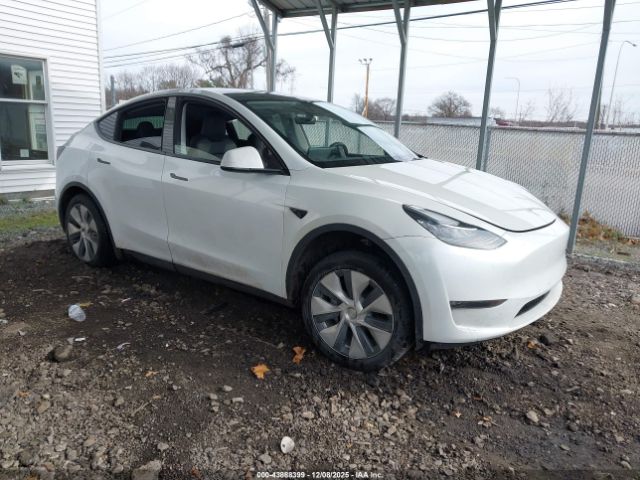 2023 TESLA MODEL Y 7SAYGDEE9PA150999