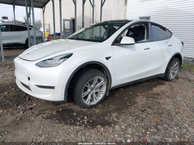 2023 TESLA MODEL Y 7SAYGDEE9PA150999 Photo 1