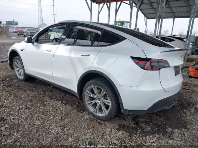 2023 TESLA MODEL Y 7SAYGDEE9PA150999 Photo 2
