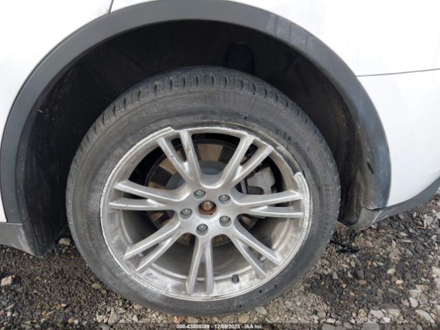 2023 TESLA MODEL Y 7SAYGDEE9PA150999 Photo 5