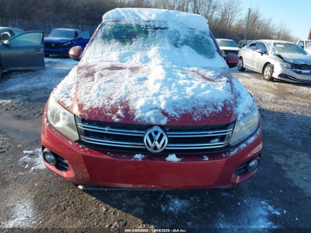 2012 VOLKSWAGEN TIGUAN WVGBV7AX6CW003576 Photo 5
