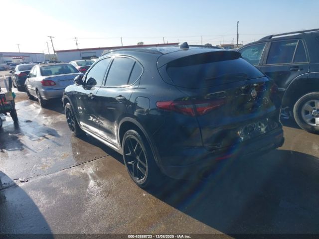 2020 ALFA ROMEO STELVIO ZASPAJAN6L7C94230 Photo 2