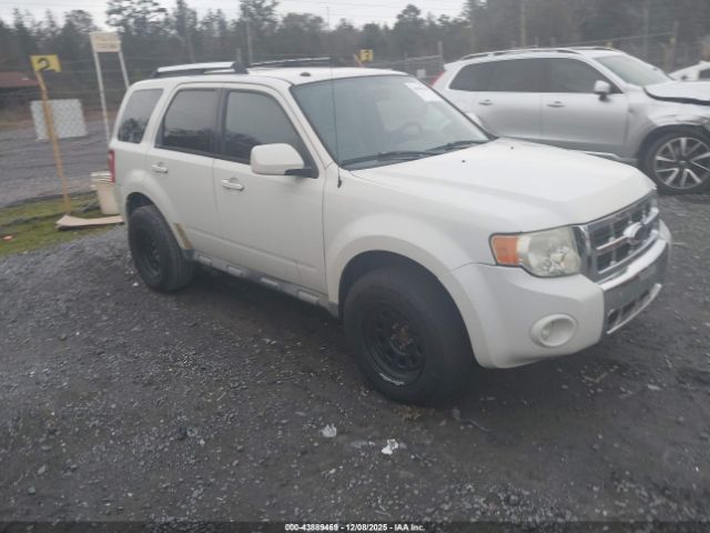 2009 FORD ESCAPE 1FMCU04G49KC10851 Photo 0