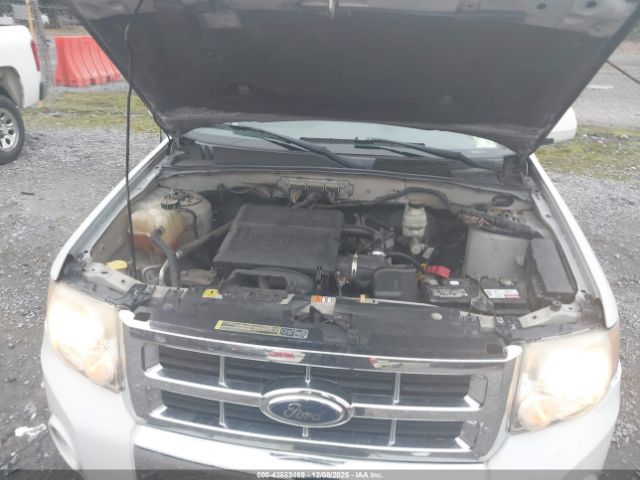 2009 FORD ESCAPE 1FMCU04G49KC10851 Photo 9