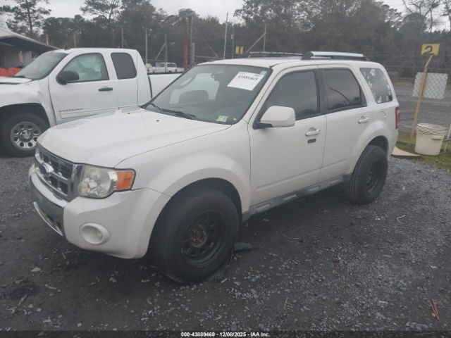 2009 FORD ESCAPE 1FMCU04G49KC10851 Photo 1