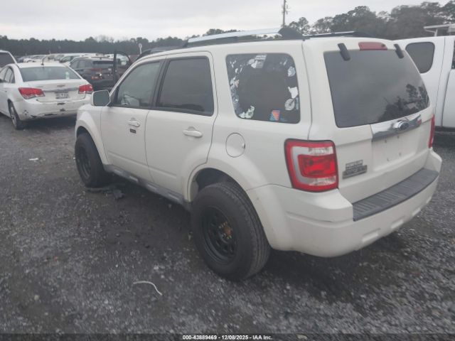 2009 FORD ESCAPE 1FMCU04G49KC10851 Photo 2