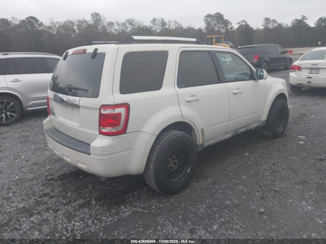 2009 FORD ESCAPE 1FMCU04G49KC10851 Photo 3