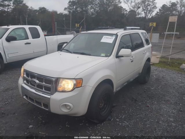 2009 FORD ESCAPE 1FMCU04G49KC10851 Photo 5