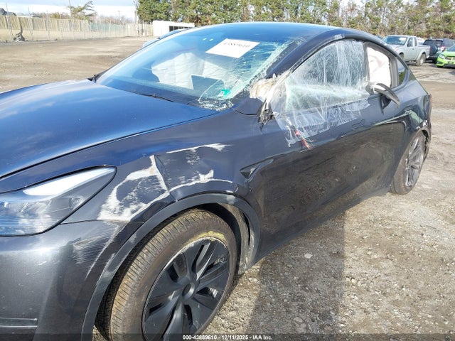 2025 TESLA MODEL Y 7SAYGDEE5SA361917 Photo 5