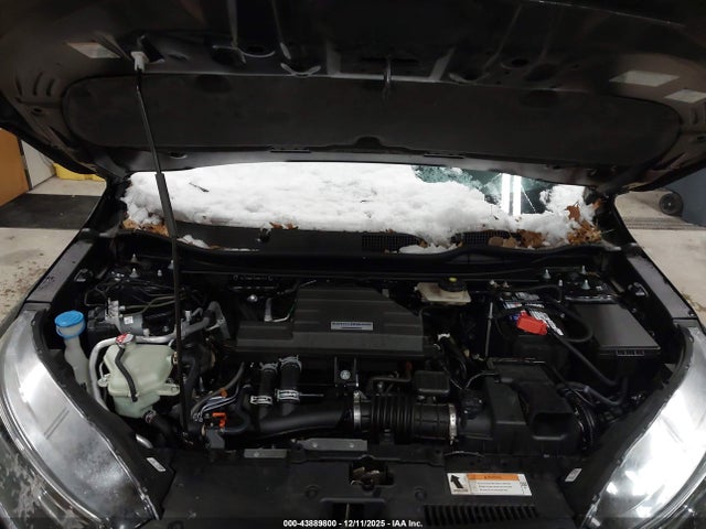 43889800 :رقم المزاد ، 7FARW2H86KE044783 vin ، 2019 Honda Cr-v Ex-l مزاد بيع