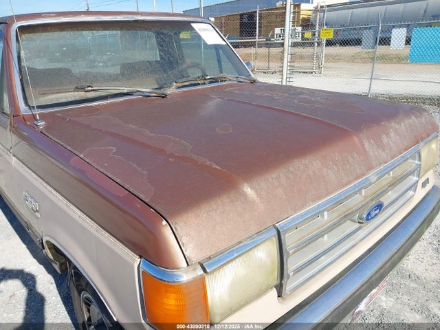 43890310 :رقم المزاد ، 1FTCF15N1HNB06221 vin ، 1987 Ford F150 مزاد بيع