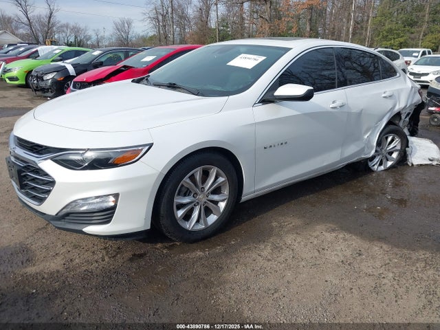 2019 CHEVROLET MALIBU 1G1ZD5ST7KF157534 Photo 1