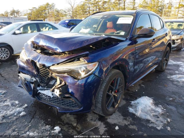 2021 ALFA ROMEO STELVIO ZASPAKBN8M7D18744 Photo 1