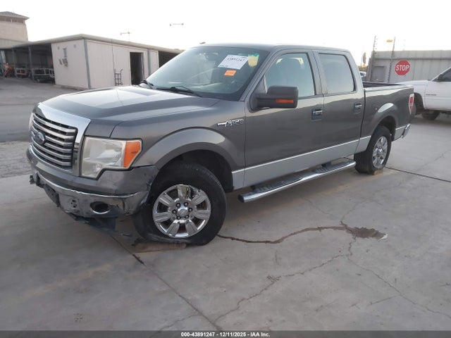 43891247 :رقم المزاد ، 1FTEW1CM9BFC64679 vin ، 2011 Ford F-150 Xlt مزاد بيع