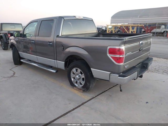 43891247 :رقم المزاد ، 1FTEW1CM9BFC64679 vin ، 2011 Ford F-150 Xlt مزاد بيع