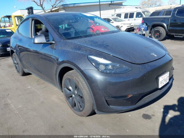 2025 TESLA MODEL Y 7SAYGDEDXSF246188