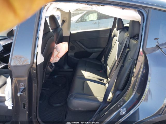 2025 TESLA MODEL Y 7SAYGDEDXSF246188 Photo 7