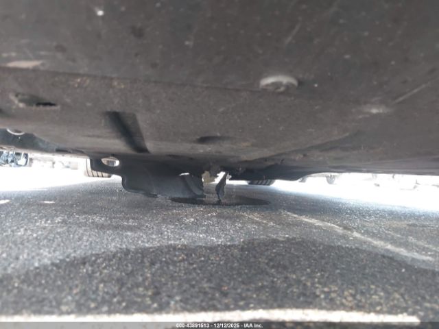 2020 ALFA ROMEO GIULIA ZARFAMAN2L7634985 Photo 5