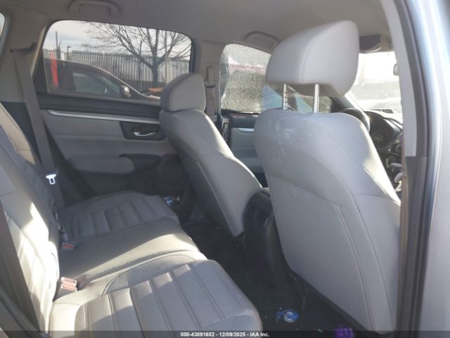 2019 HONDA CR-V 2HKRW6H33KH207849 Photo 7