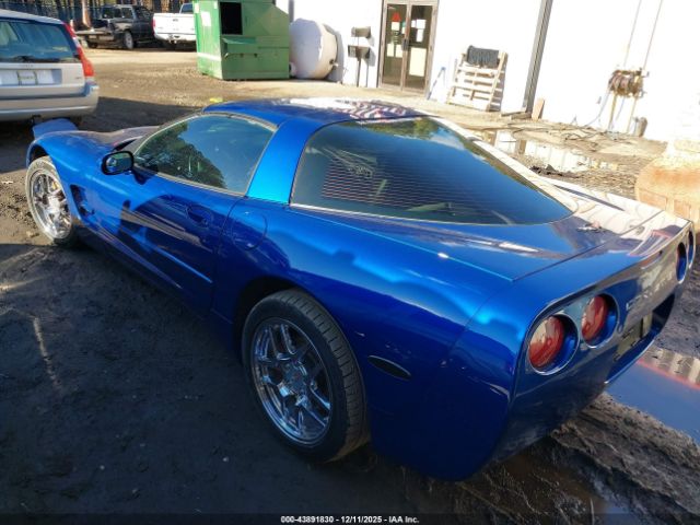 2002 CHEVROLET CORVETTE 1G1YY22G825122265 Photo 2