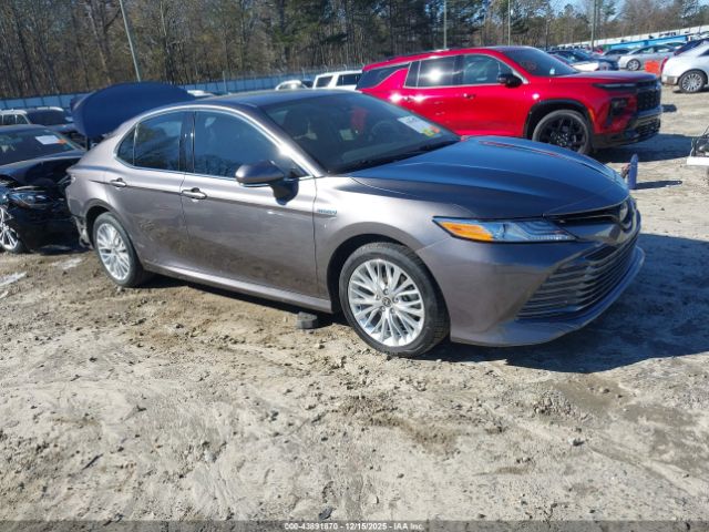 2020 TOYOTA CAMRY 4T1F31AK1LU542076