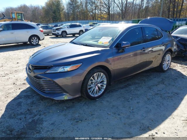 2020 TOYOTA CAMRY 4T1F31AK1LU542076 Photo 1