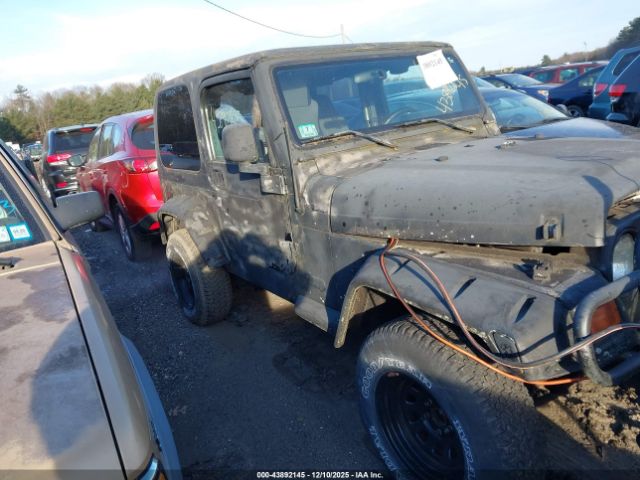 2003 JEEP WRANGLER 1J4FA49S13P312580