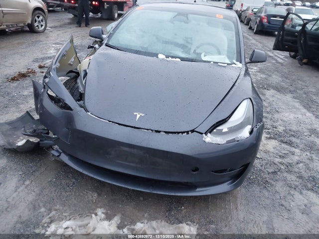 Auction sale of the 2023 Tesla Model 3 Rear-wheel Drive, vin: 5YJ3E1EA5PF570206, lot number: 43892872