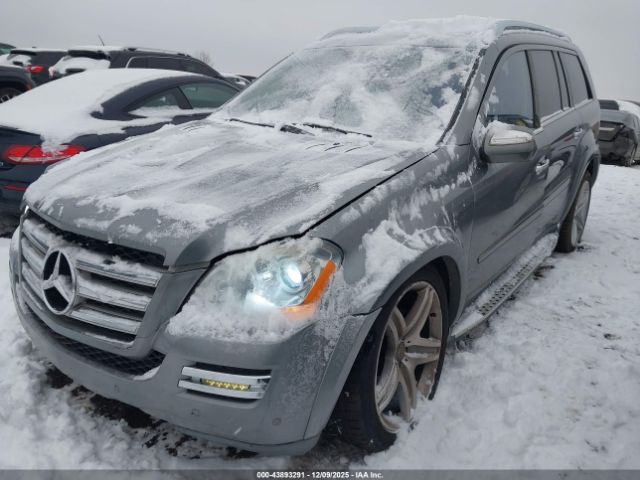 2010 MERCEDES-BENZ GL 550 4JGBF8GE3AA612465 Photo 1