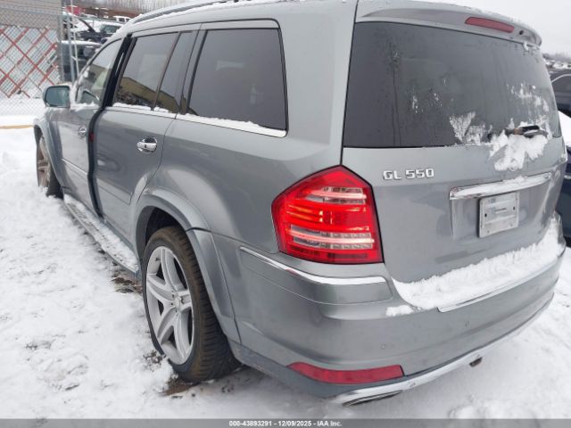 2010 MERCEDES-BENZ GL 550 4JGBF8GE3AA612465 Photo 2