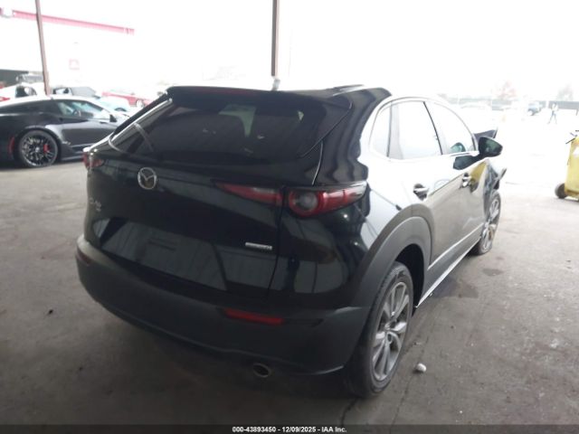 2021 MAZDA CX-30 3MVDMBBL6MM244830 Photo 3