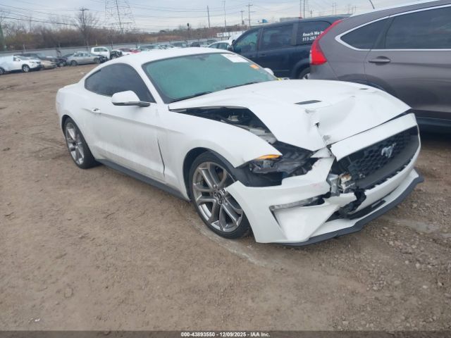 2019 FORD MUSTANG 1FA6P8TH7K5147580