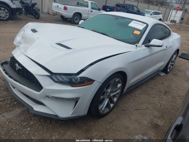 2019 FORD MUSTANG 1FA6P8TH7K5147580 Photo 1