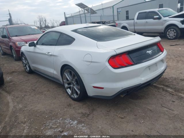 2019 FORD MUSTANG 1FA6P8TH7K5147580 Photo 2