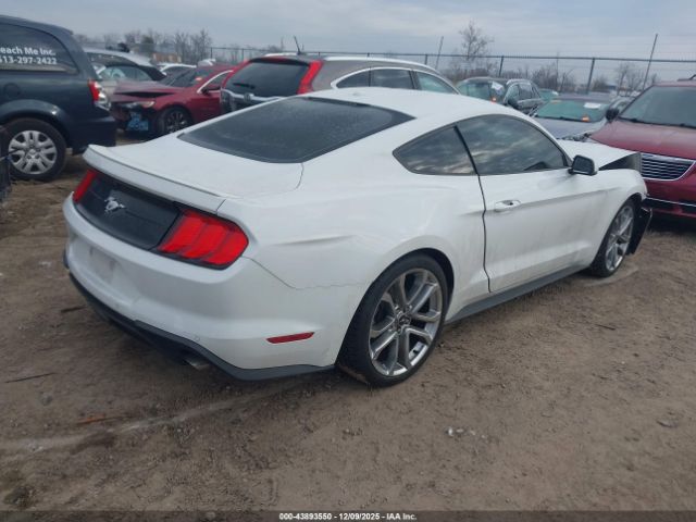 2019 FORD MUSTANG 1FA6P8TH7K5147580 Photo 3