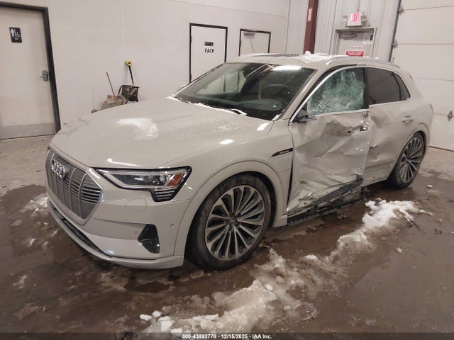 2019 AUDI E-TRON WA1VABGE7KB012731 Photo 1