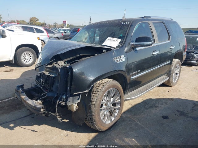 2010 CADILLAC ESCALADE 1GYUCAEF7AR177485 Photo 1