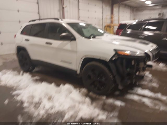 2017 JEEP CHEROKEE 1C4PJMAS8HD238251