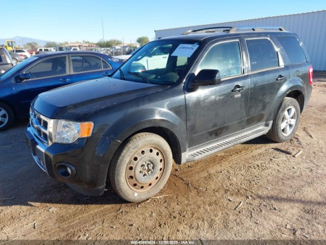 2009 FORD ESCAPE 1FMCU94G39KC57244 Photo 1
