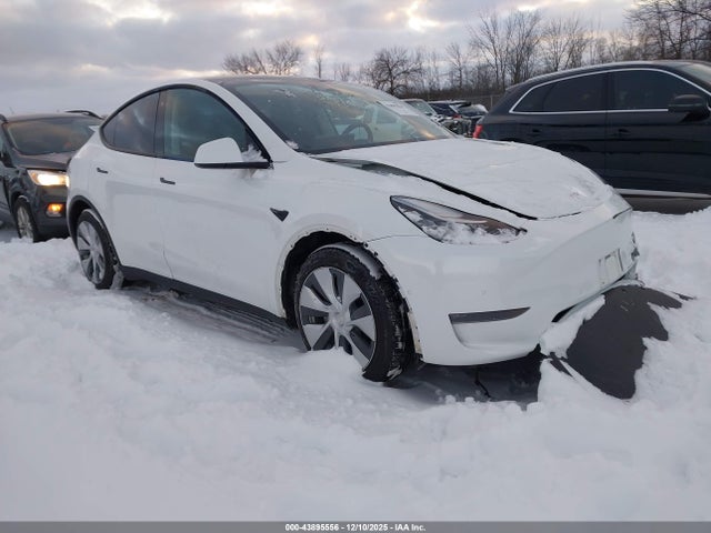 2020 TESLA MODEL Y 5YJYGDEE9LF044109 Photo 0