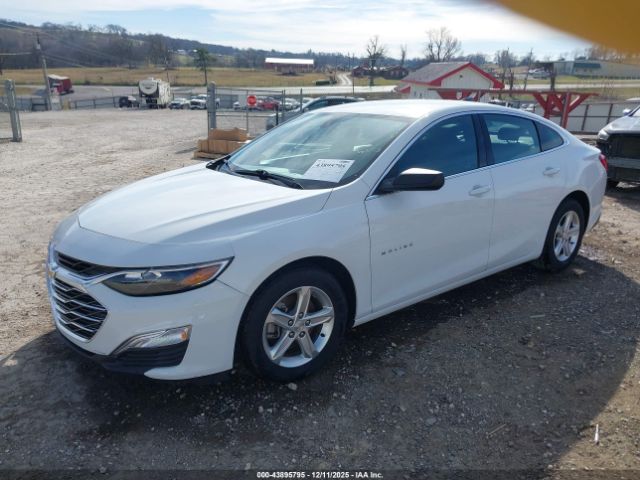 2022 CHEVROLET MALIBU 1G1ZB5ST3NF151370 Photo 1