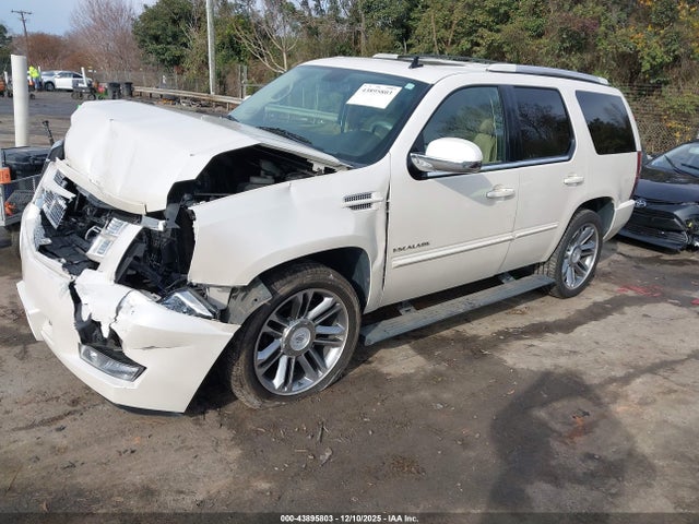 2012 CADILLAC ESCALADE 1GYS4CEF5CR202855 Photo 1