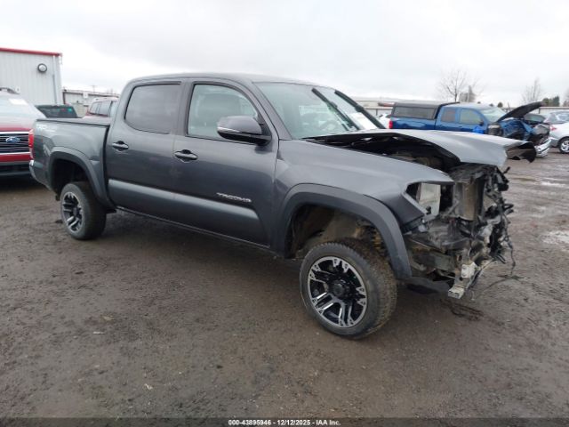 2019 TOYOTA TACOMA 3TMCZ5AN2KM259132