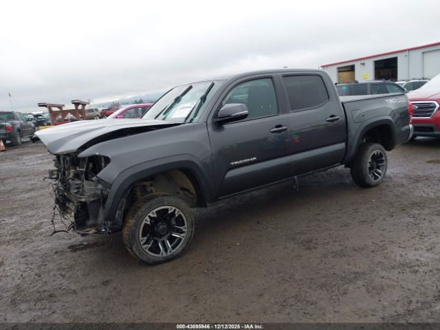 2019 TOYOTA TACOMA 3TMCZ5AN2KM259132 Photo 1