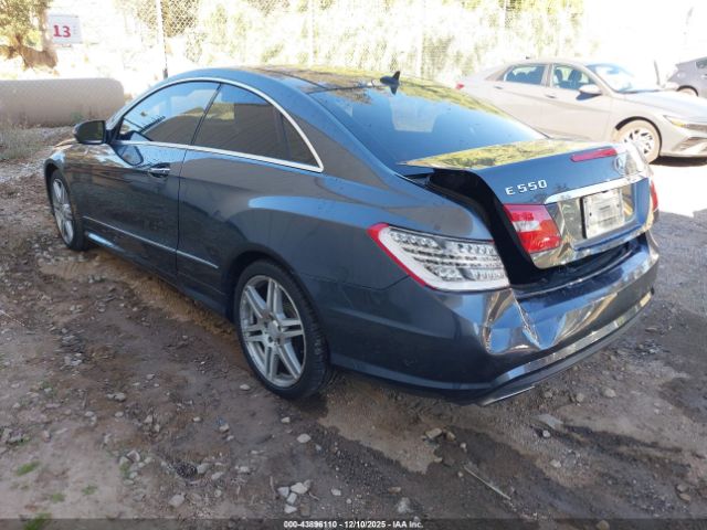 2010 MERCEDES-BENZ E 550 WDDKJ7CB3AF019612 Photo 2