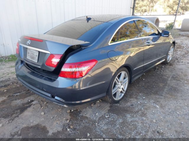 2010 MERCEDES-BENZ E 550 WDDKJ7CB3AF019612 Photo 3