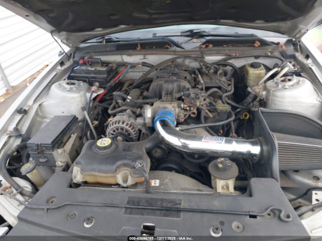 2006 FORD MUSTANG 1ZVFT84N065255049 Photo 9