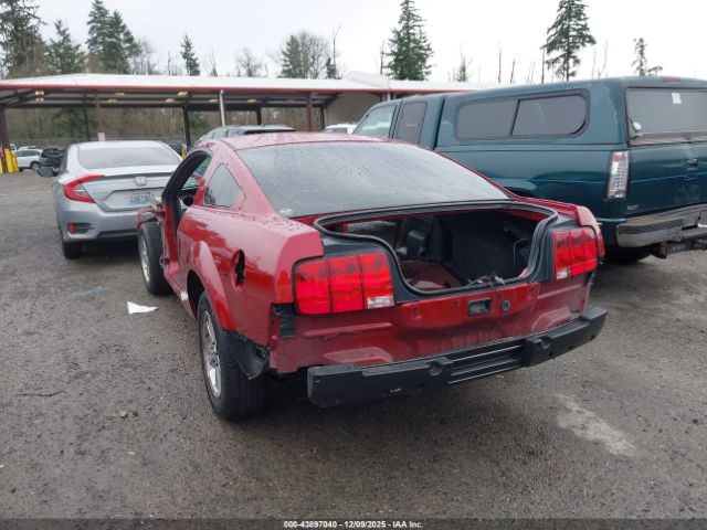 2007 FORD MUSTANG 1ZVFT82H675350049 Photo 2