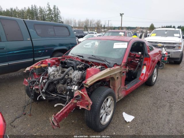 2007 FORD MUSTANG 1ZVFT82H675350049 Photo 5