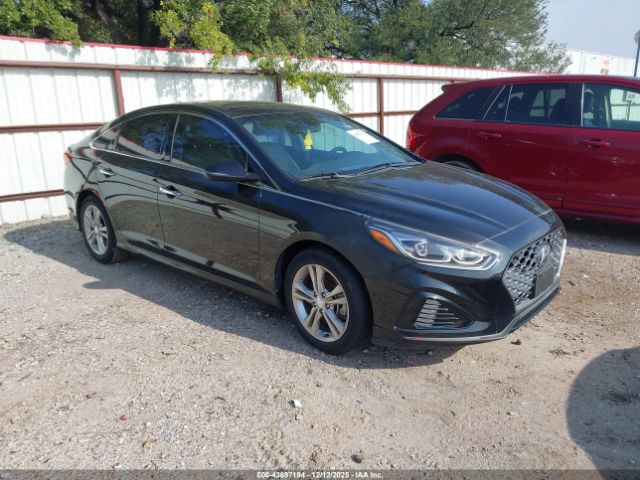 2019 HYUNDAI SONATA 5NPE34AF8KH789365